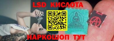 индика Кингисепп