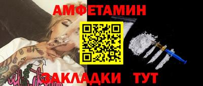 индика Кингисепп