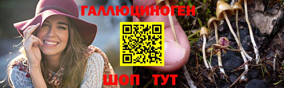 Псилоцибиновые грибы прущие грибы Когалым
